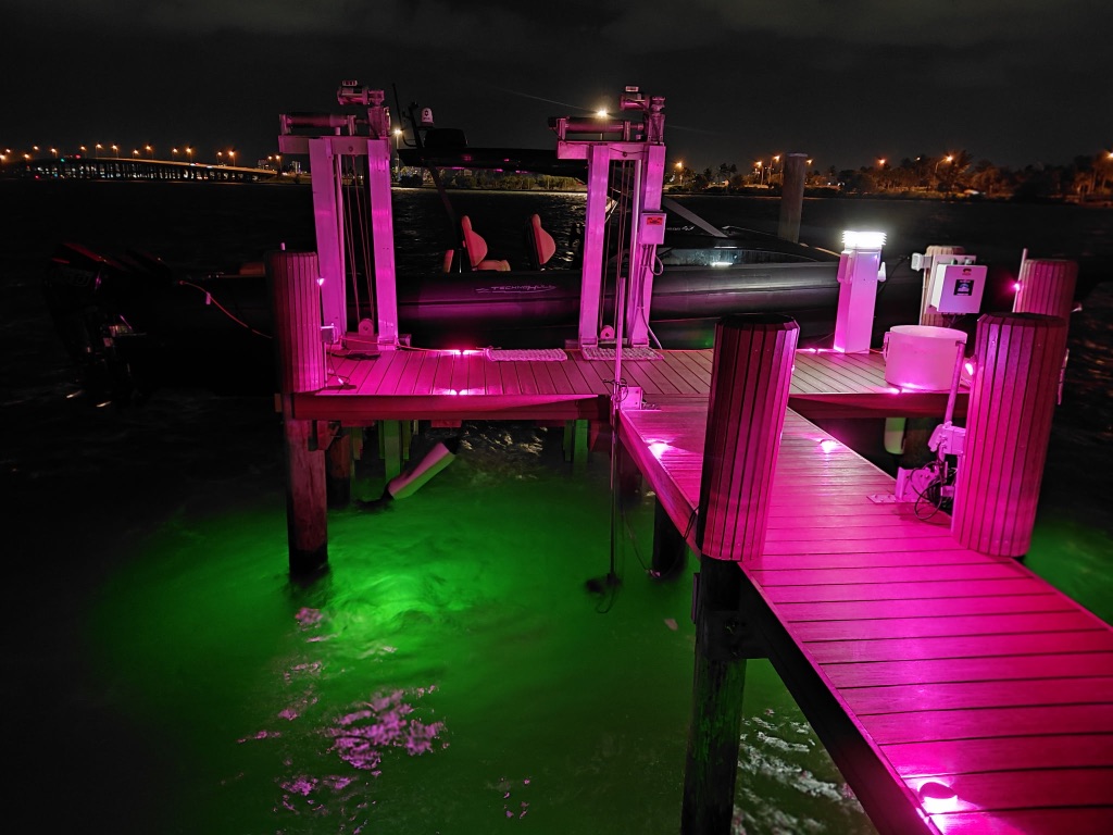 RGBW Pink Dock Lighting — Full Dock View at Night