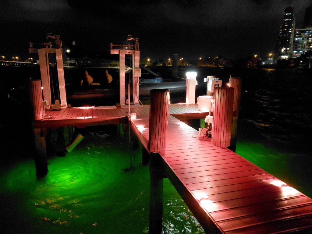 RGBW Red Dock Lighting — Full Dock View at Night